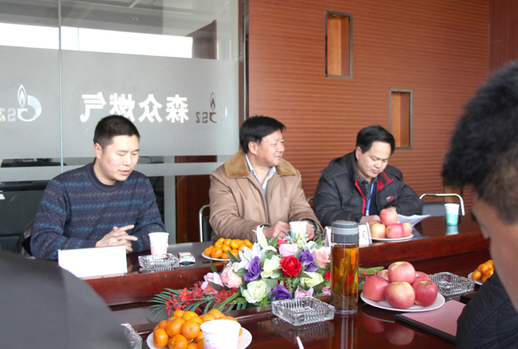 林口县政府与亚搏网页版-亚搏yabo(中国)燃气项目洽谈.png